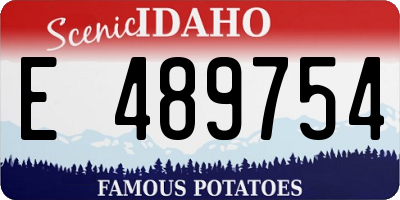ID license plate E489754