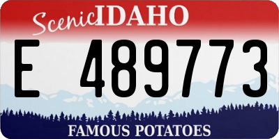 ID license plate E489773