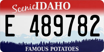 ID license plate E489782
