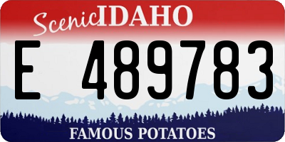 ID license plate E489783