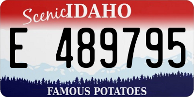 ID license plate E489795