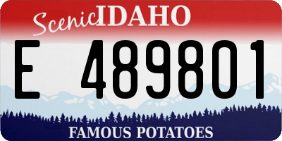 ID license plate E489801