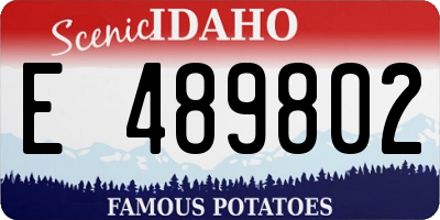ID license plate E489802