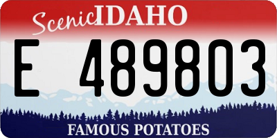 ID license plate E489803