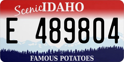 ID license plate E489804