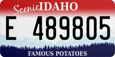 ID license plate E489805