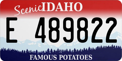 ID license plate E489822
