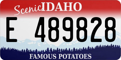 ID license plate E489828