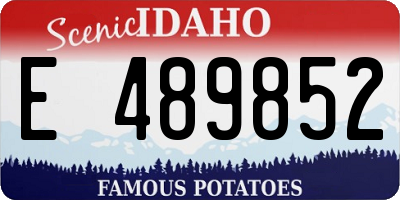 ID license plate E489852