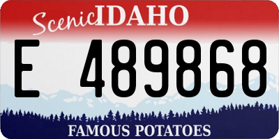 ID license plate E489868