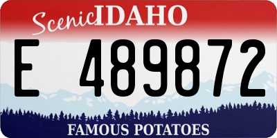 ID license plate E489872
