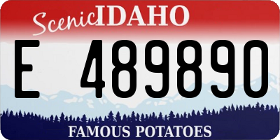 ID license plate E489890