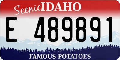 ID license plate E489891