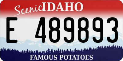 ID license plate E489893