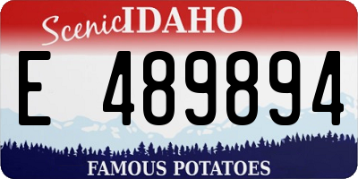 ID license plate E489894