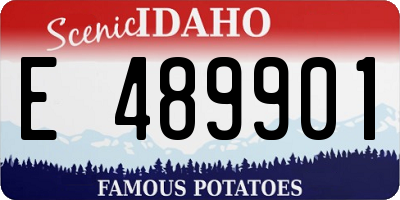 ID license plate E489901