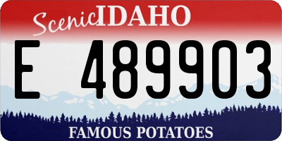 ID license plate E489903