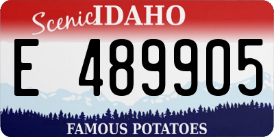 ID license plate E489905