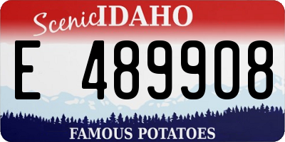 ID license plate E489908