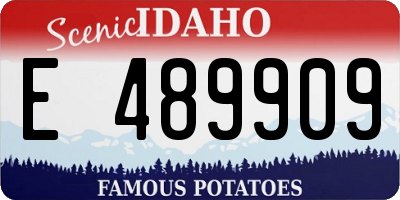ID license plate E489909