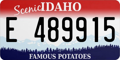ID license plate E489915