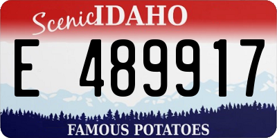ID license plate E489917