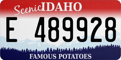 ID license plate E489928