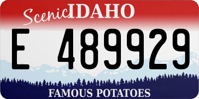 ID license plate E489929