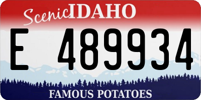 ID license plate E489934
