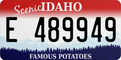 ID license plate E489949