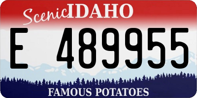 ID license plate E489955
