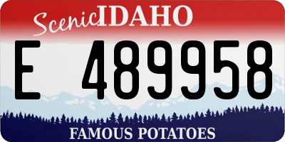ID license plate E489958