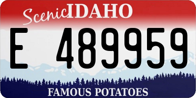 ID license plate E489959