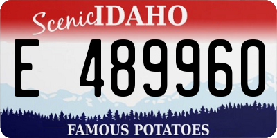 ID license plate E489960