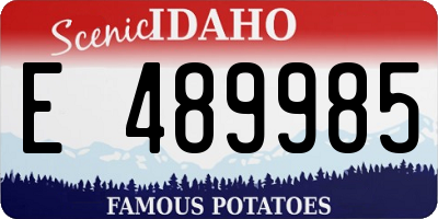 ID license plate E489985