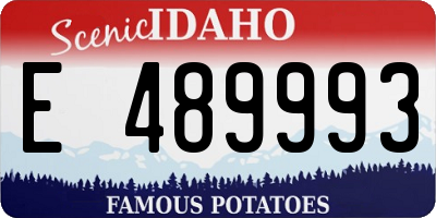 ID license plate E489993