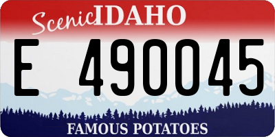 ID license plate E490045
