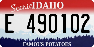 ID license plate E490102