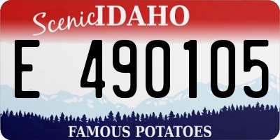 ID license plate E490105