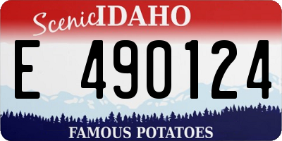 ID license plate E490124