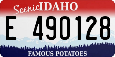 ID license plate E490128