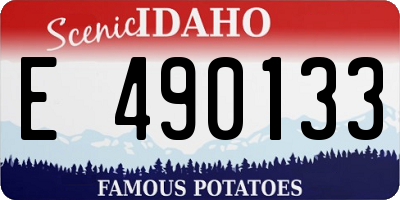 ID license plate E490133