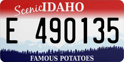 ID license plate E490135