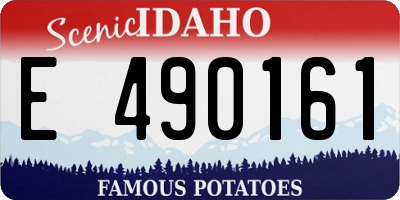 ID license plate E490161