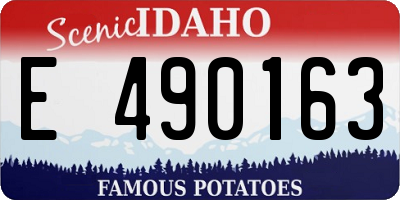 ID license plate E490163
