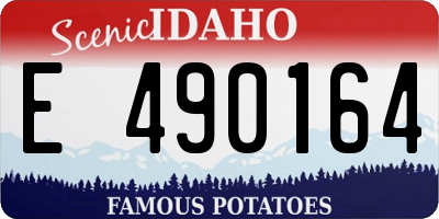 ID license plate E490164