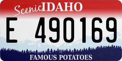 ID license plate E490169