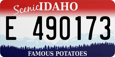 ID license plate E490173