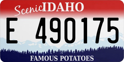 ID license plate E490175
