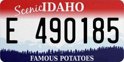 ID license plate E490185